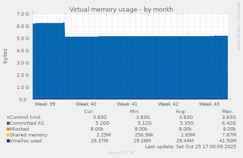 Virtual memory usage