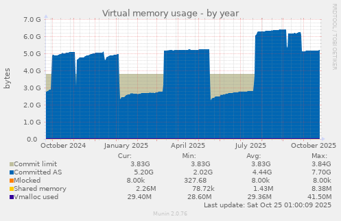 Virtual memory usage