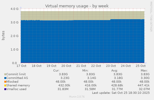 Virtual memory usage